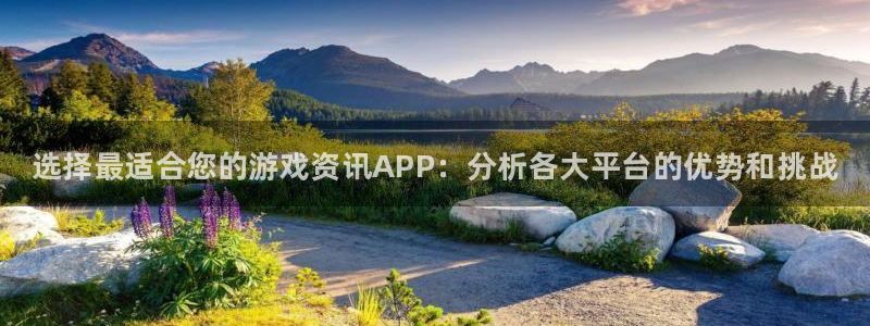 杜邦娱乐平台登录：选择最适合您的游戏资讯APP：分析各大平台