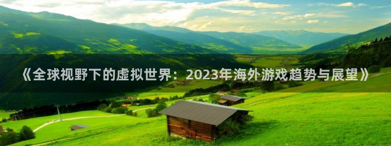 杜邦娱乐平台注册资金多少：《全球视野下的虚拟世界：2023年