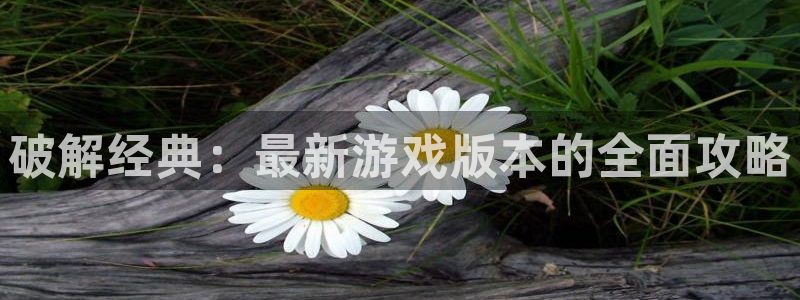 杜邦娱乐：破解经典：最新游戏版本的全面攻略