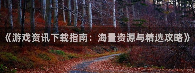 杜邦娱乐平台负责人：《游戏资讯下载指南：海量资源与精选攻略》