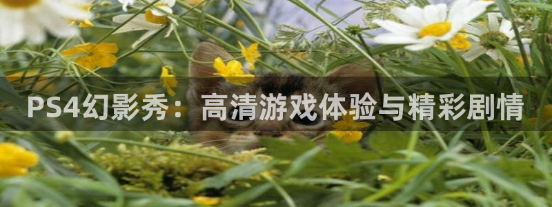 杜邦娱乐app下载|下载地址：PS4幻影秀：高清游戏体验与精