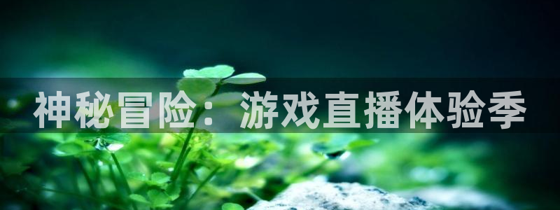 杜邦娱乐官网最新版本更新内容分享：神秘冒险：游戏直播体验季