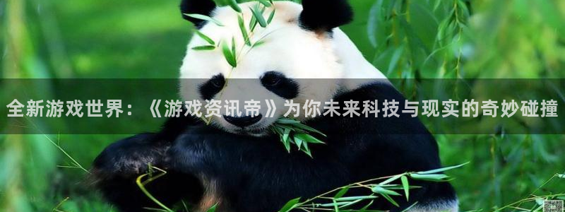 杜邦娱乐信誉怎么样啊：全新游戏世界：《游戏资讯帝》为你未来科