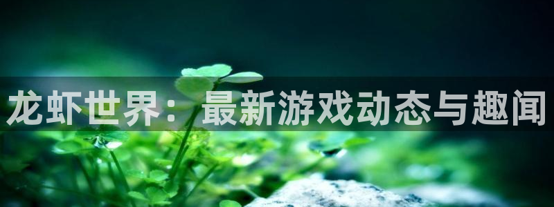 杜邦娱乐app官网入口下载：龙虾世界：最新游戏动态与趣闻