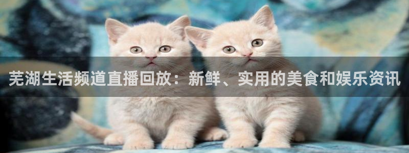 火凤足球直播在线观看