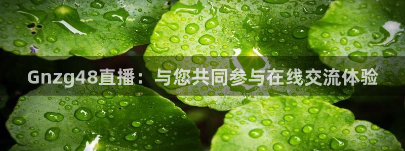 nba火凤体育免费直播