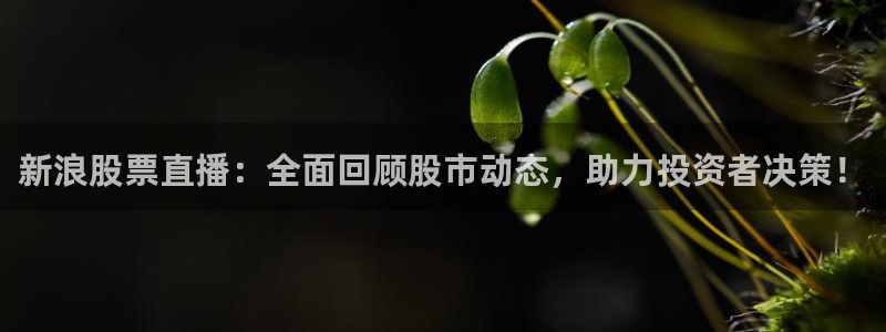 火凤斗球直播体育