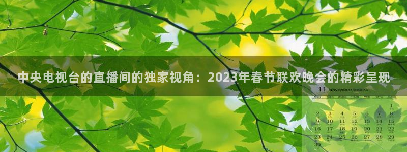 火凤体育nba直播