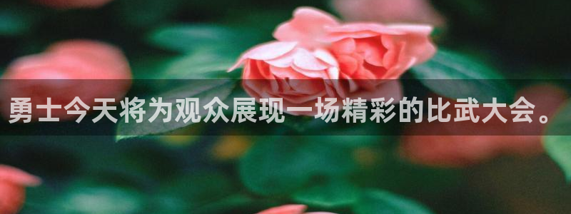 火凤直播：勇士今天将为观众展现一场精彩的比武大会。