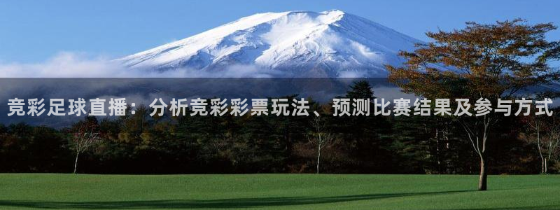 火凤直播足球赛免费视频：竞彩足球直播：分析竞彩彩票玩法、预测比赛结果及参与方式