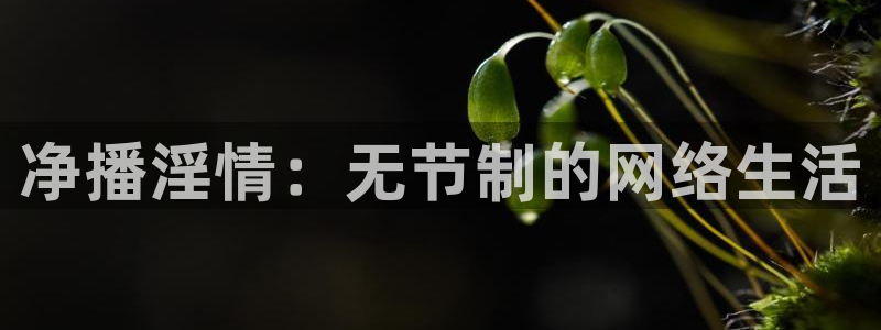 足球直播火凤直播：净播淫情：无节制的网络生活