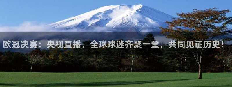 火凤直播体育免费直播：欧冠决赛：央视直播，全球球迷齐聚一堂，共同见证历史！