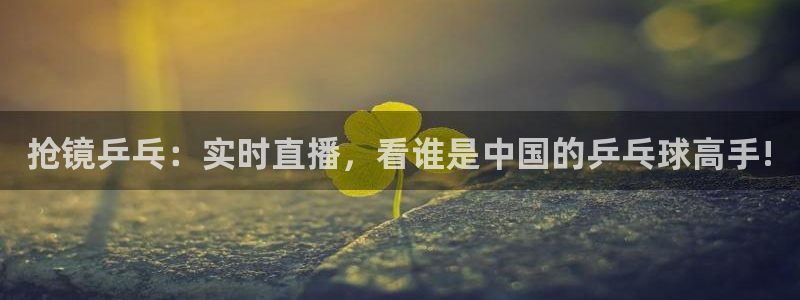 火凤直播足球赛免费视频：抢镜乒乓：实时直播，看谁是中国的乒乓球高手!