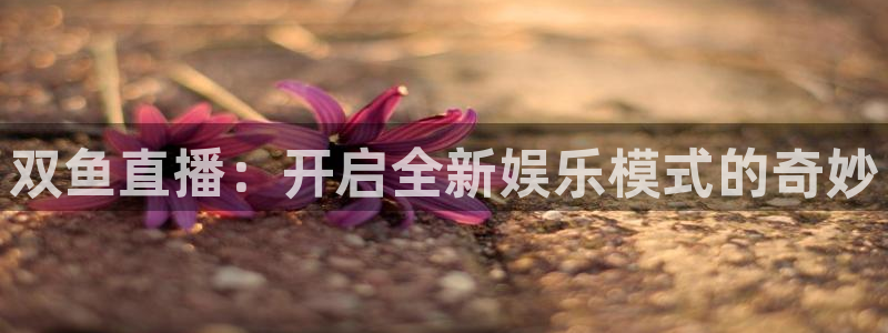 火凤足球直播在线观看：双鱼直播：开启全新娱乐模式的奇妙