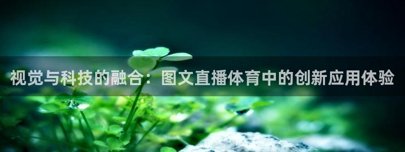 nba火凤体育免费直播：视觉与科技的融合：图文直播体育中的创新应用体验