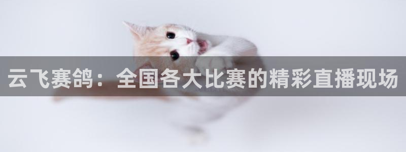 火凤体育免费直播入口：云飞赛鸽：全国各大比赛的精彩直播现场