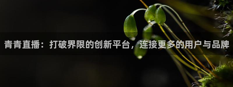 火凤体育直播：青青直播：打破界限的创新平台，连接更多的用户与品牌